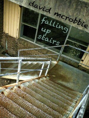 cover image of Falling Up Stairs